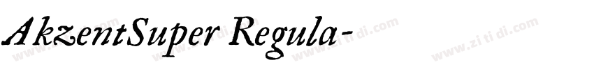 AkzentSuper Regula字体转换